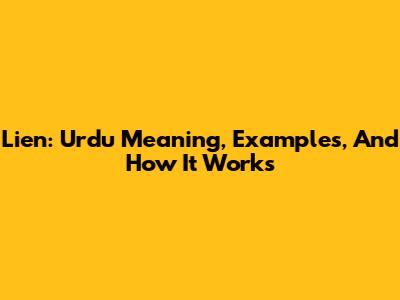 Lien: Urdu Meaning, Examples, And How It Works